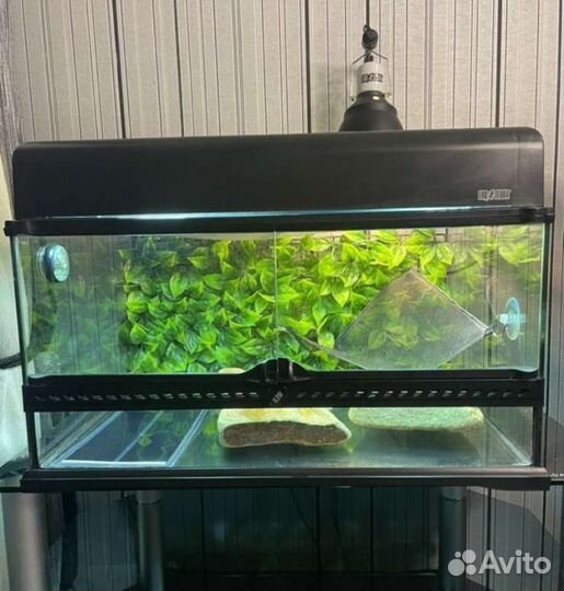 Террариум с наполнением