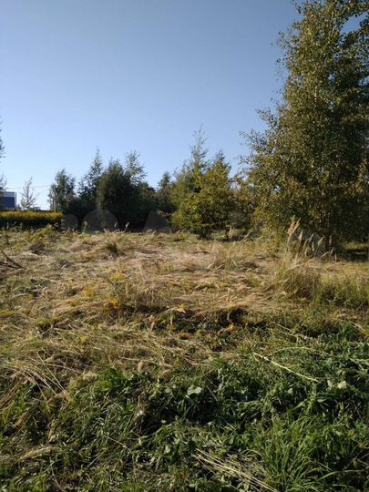 Участок 10 сот. (СНТ, ДНП)