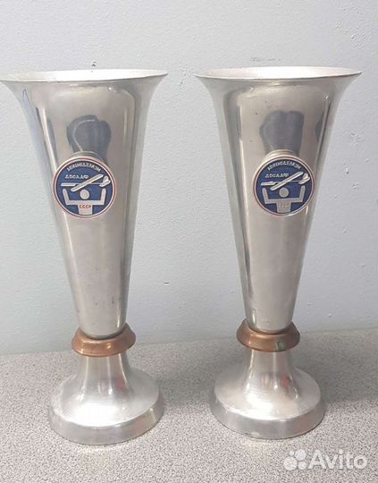 Кубок СССР Авиамоделизм досааф