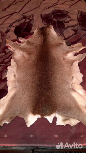 Выделка шкур