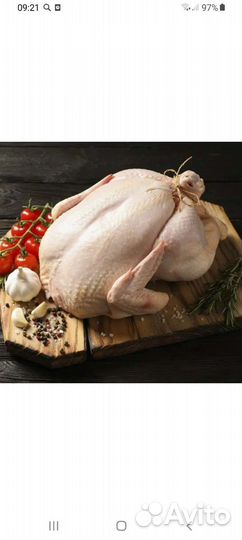 Мясо индейки