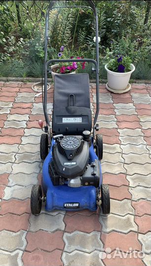 Газонокосилка бензиновая etalon