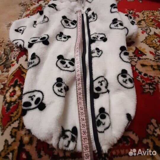 Одежда для собак