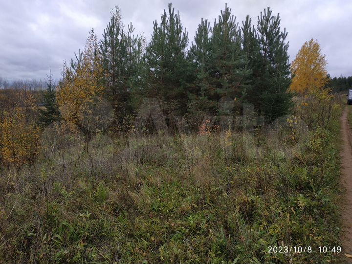 Участок 5,5 сот. (СНТ, ДНП)