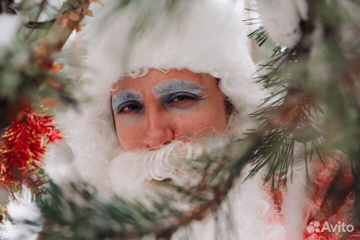 Дед Мороз и Снегурочка на дом