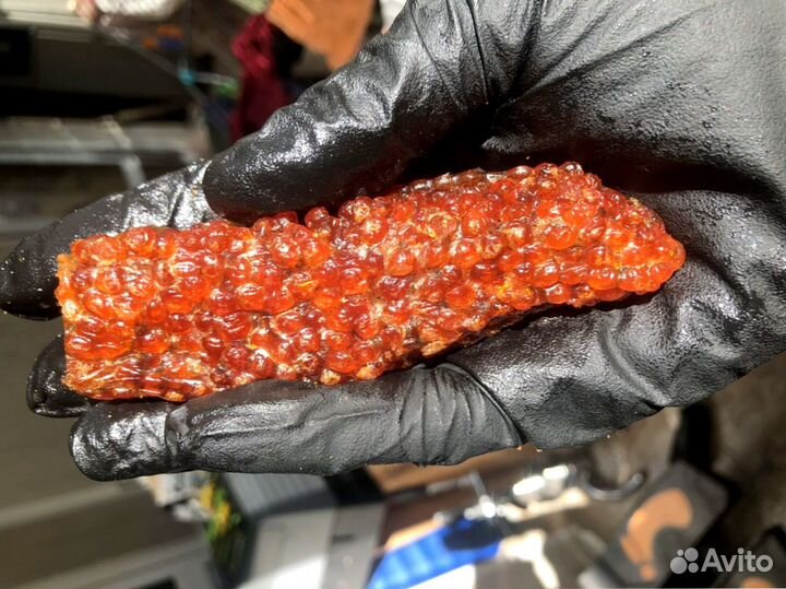 Икра вяленая воблы/лосося/жереха/сельди и др