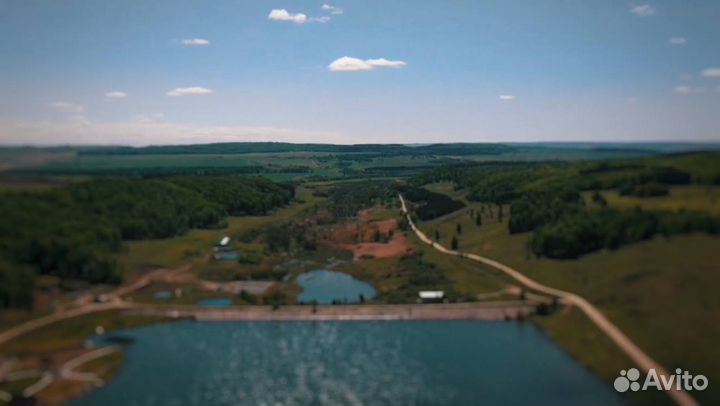 Живая форель доставка. Оптом