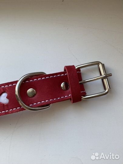 Ошейник для собак