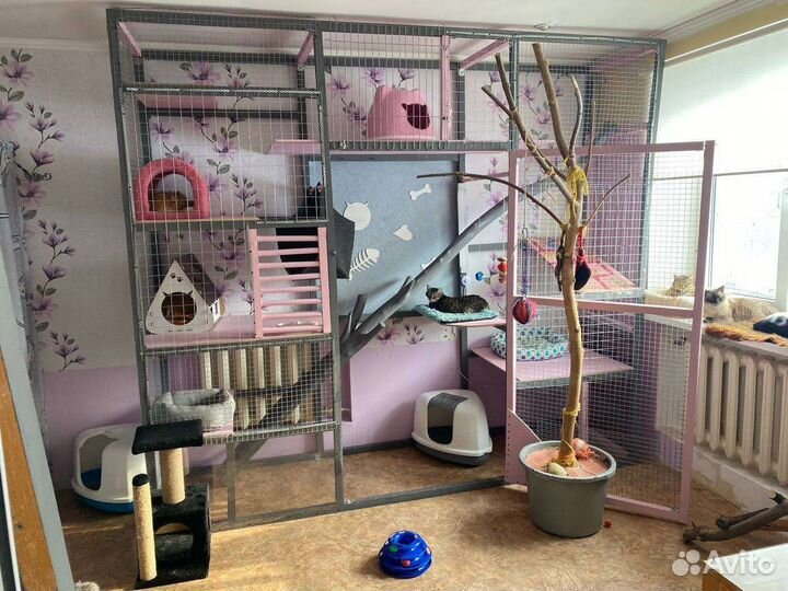 Передержка животных на время отпуска