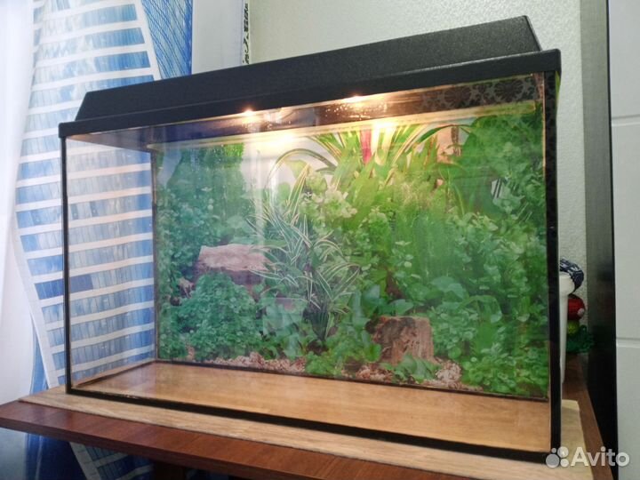 Аквариум 70 литров со всеми аксессуарами