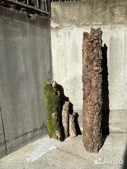 Кора пробкового дуба прямые куски