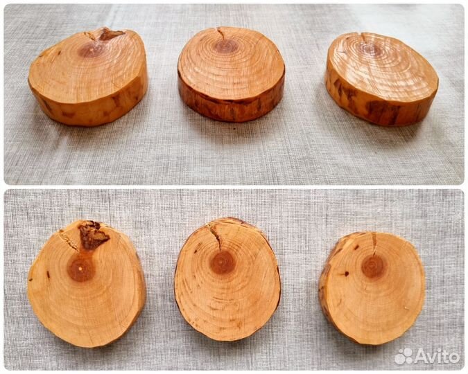 Спилы Дерева Ель лаковые для декора