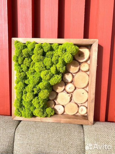 Фитокартина, стабилизированный мох