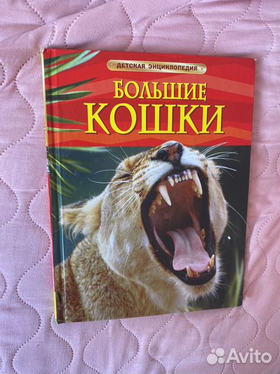 Энциклопедия