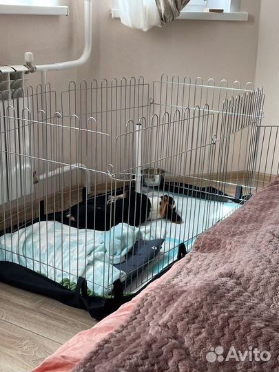 Вольер для собак в квартиру 8 секций