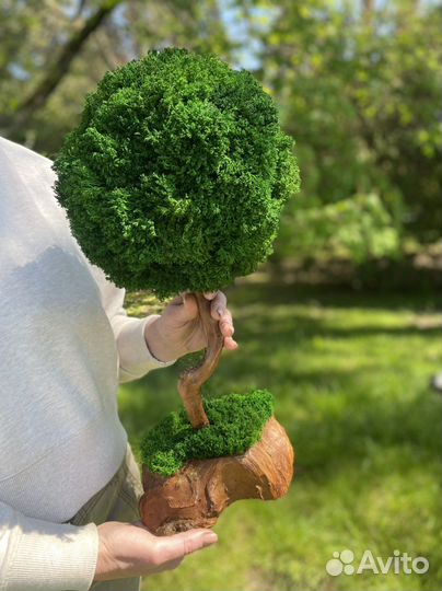Дерево из мха (топиарий) 50 см