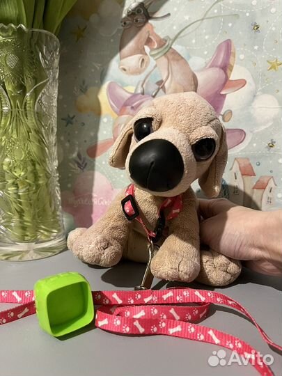 Комбинезон, ботинки, шлейка для собаки