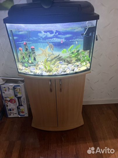 Аквариум