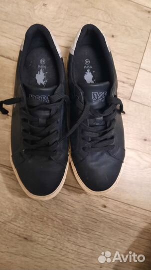 Us polo assn кеды