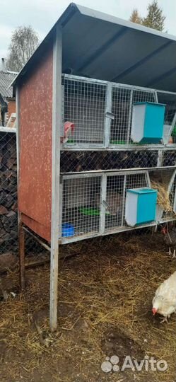 Клетки для кроликов