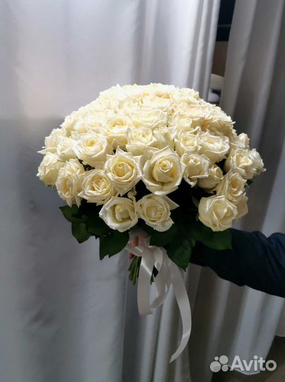 Розы, букет цветов 101 роза