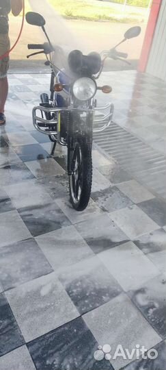 Альфа рх 110 2023