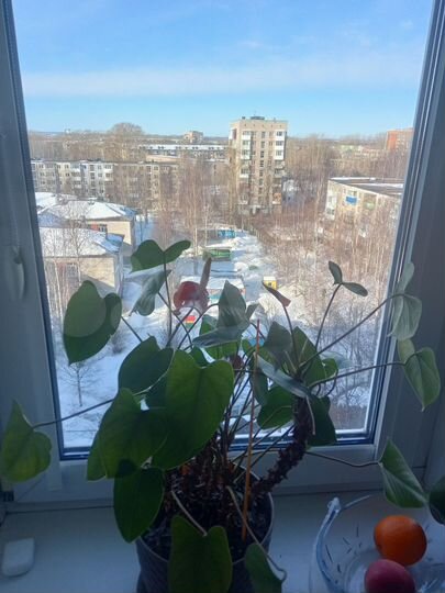 4-к. квартира, 75,1 м², 9/9 эт.