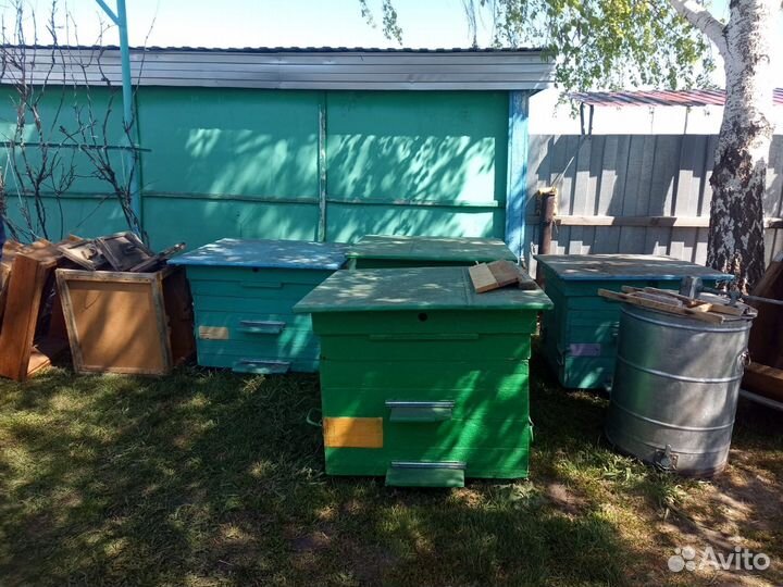 Пчелиные ульи