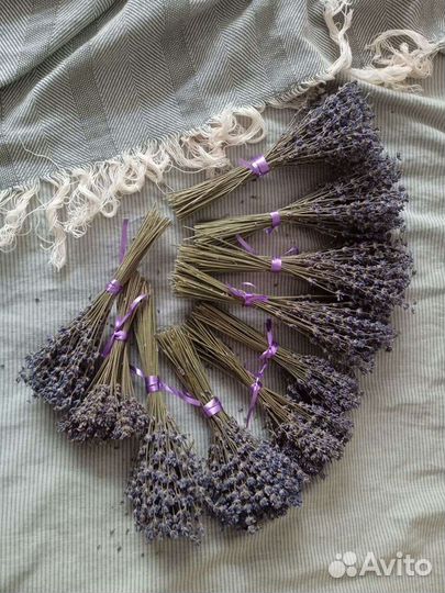 Букетики лаванды