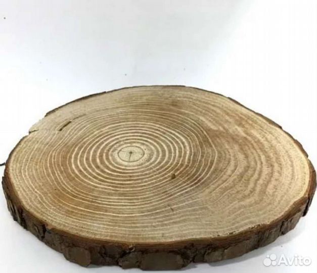 Спилы дерева