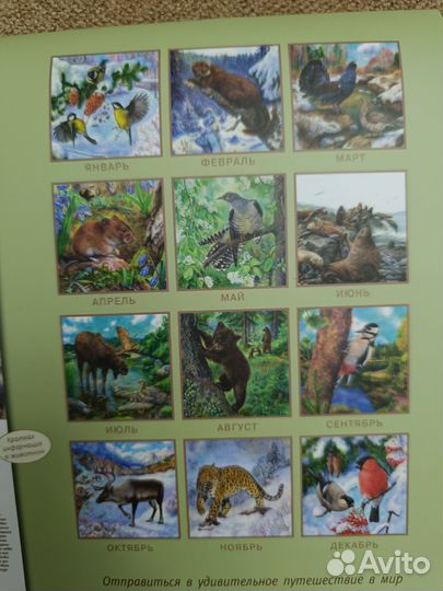 Настенный календарь родной природы 2024 Мошинская