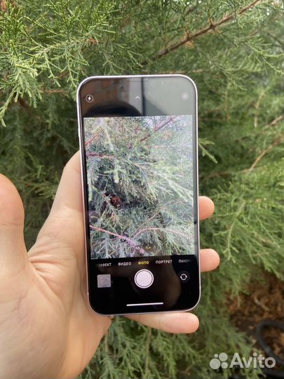 iPhone 14, 256 ГБ