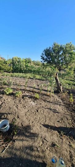 Участок 6 сот. (СНТ, ДНП)