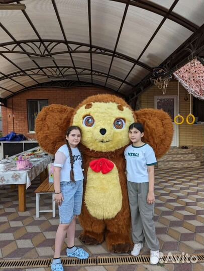 Аниматор на праздник/Живая открытка/Ростовая кукла