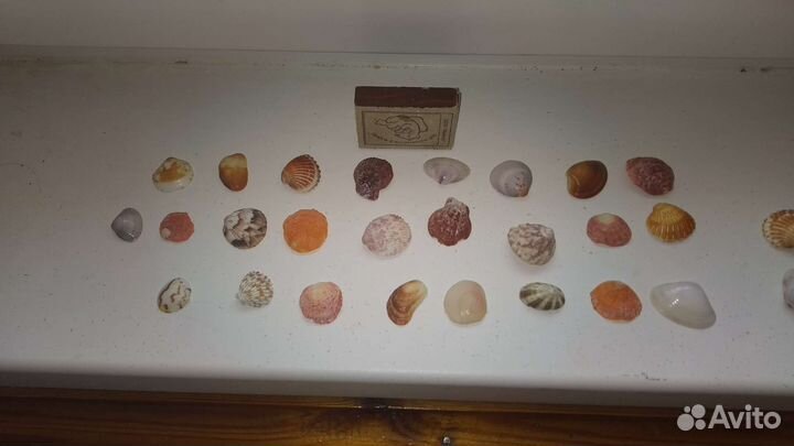 Декорации для аквариума и инструменты