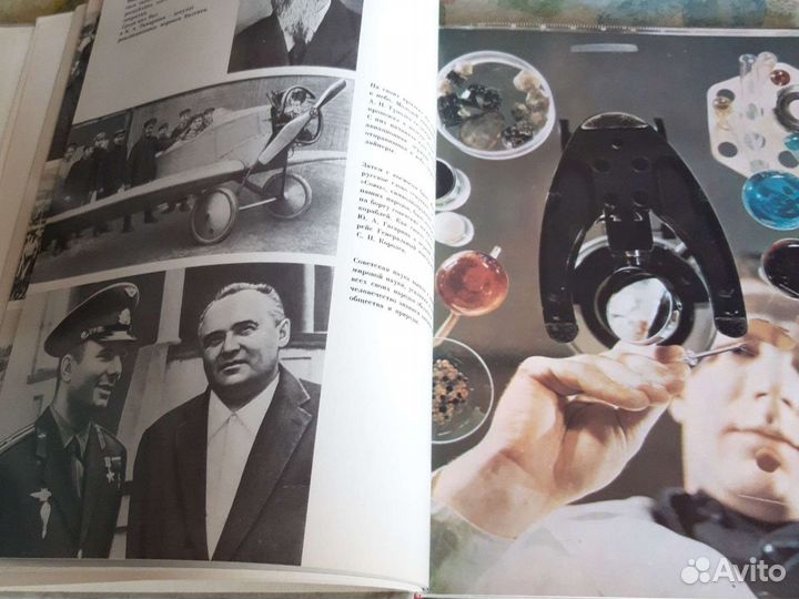 Полевка в союзе равных