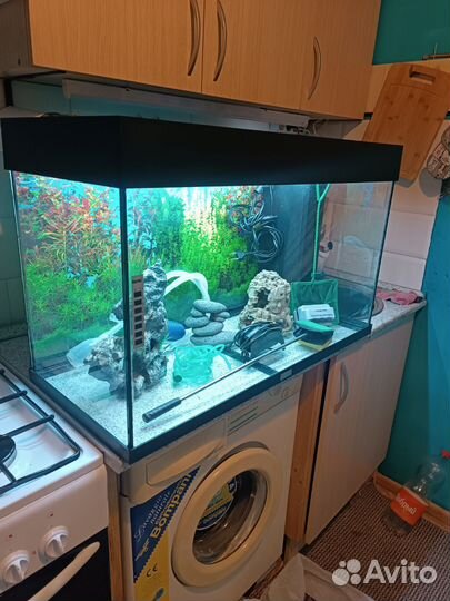 Аквариум juwel 125 литров
