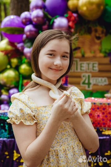 Фото и видеосъемка