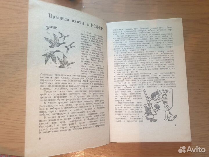 Е. В. Кудрявцев. Охота