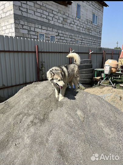 Песок отсев щебень пгс