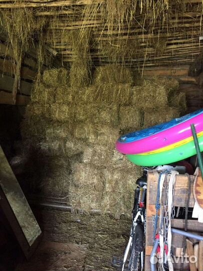 Сено в тюках