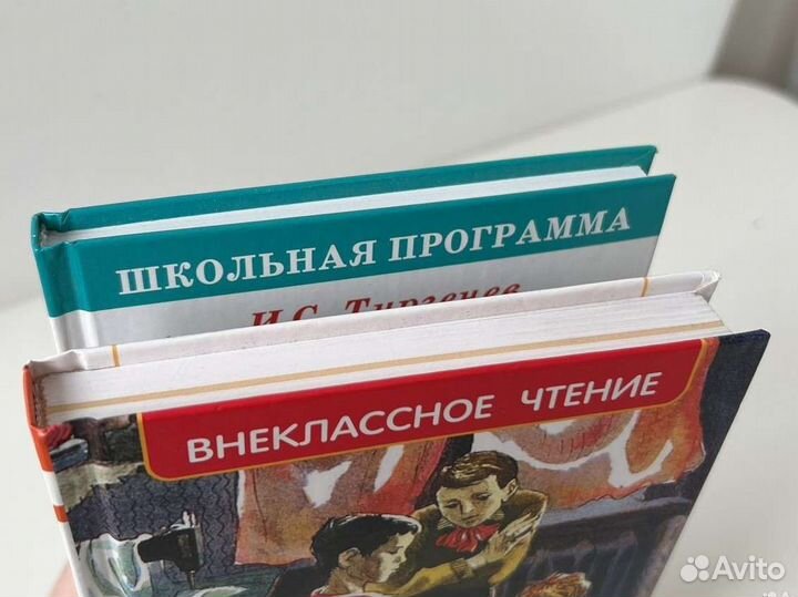 Рыбаков Кортик Тургенев Муму Записки охотника