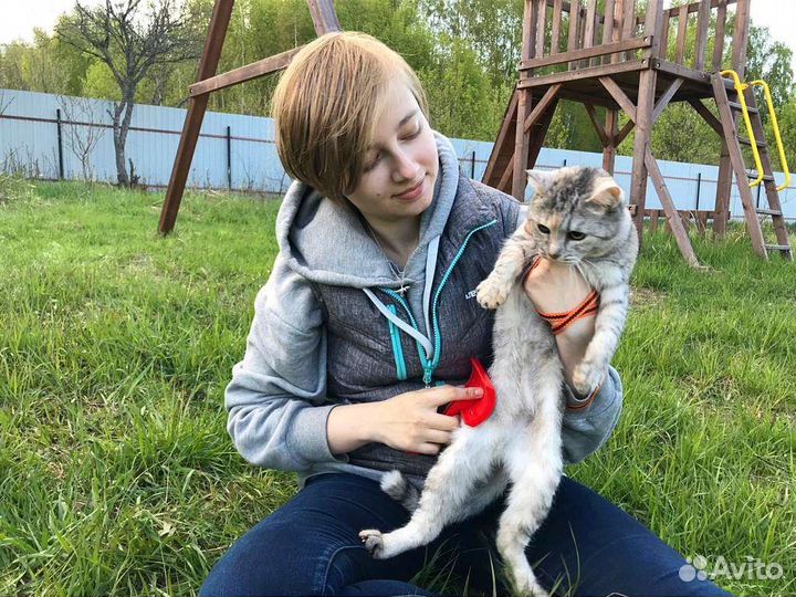 Уход за котом/кошкой