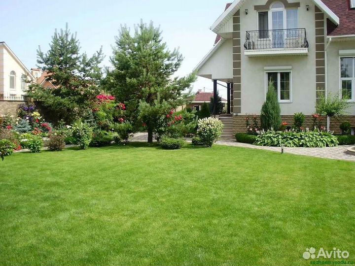 Укладка и продажа рулонного газона