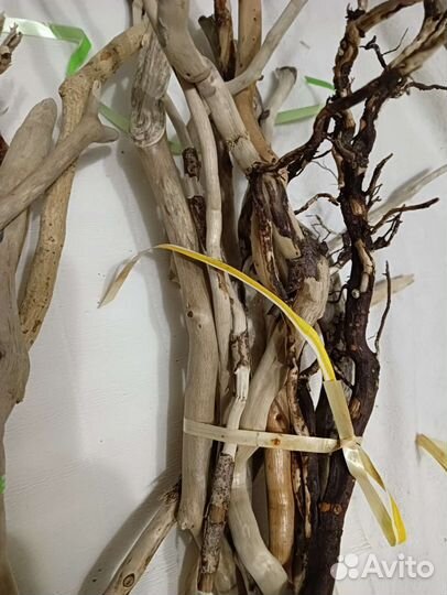 Дрифтвуд для творчества