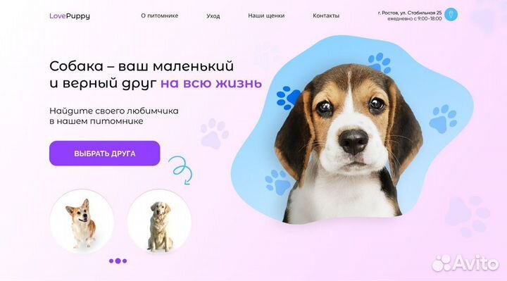 Веб дизайнер