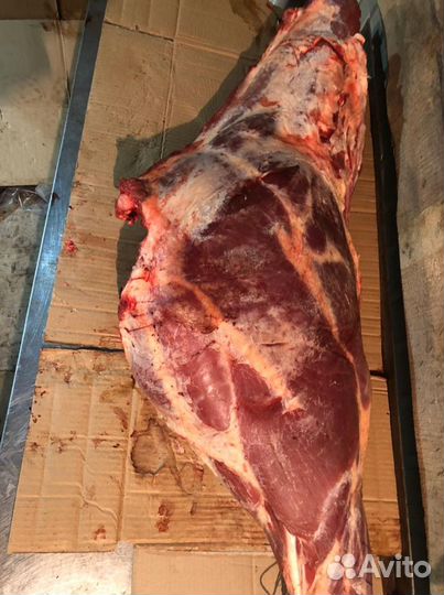 Мясо свежее говядина