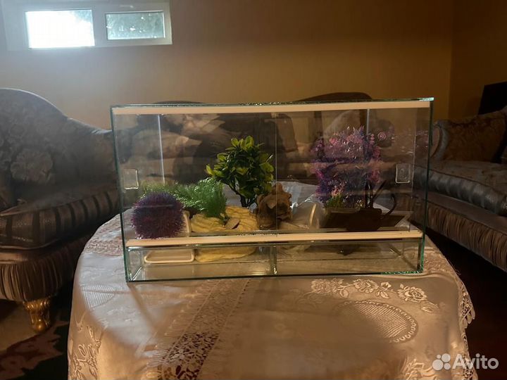 Террариум для рептилий бу