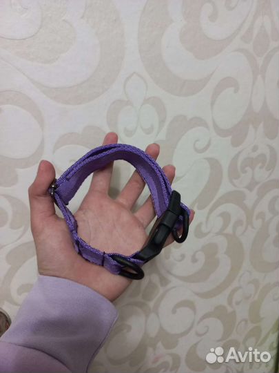 Ошейник для собак