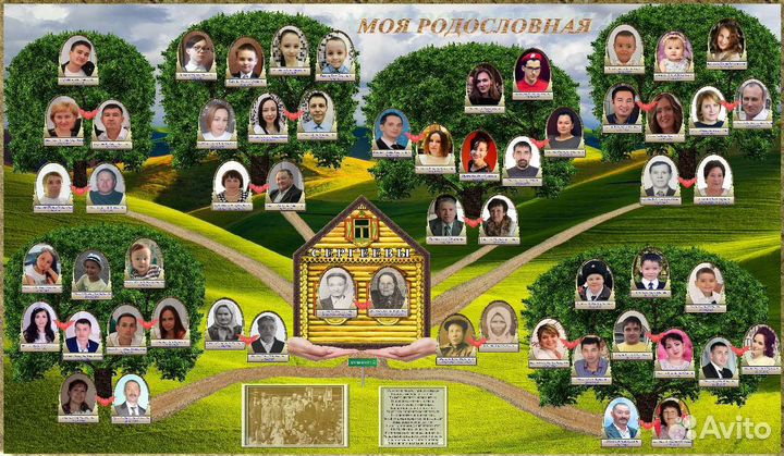 Создание генеалогического древа